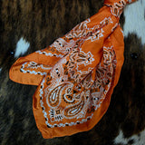 Satin Style Wild Rag Bandanas