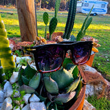 Highway Runner Unisex Sunglasses (3 colours!)
