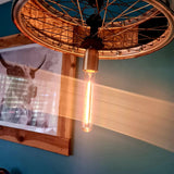 License To Light Up Ceiling Lampshade