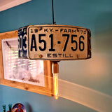 License To Light Up Ceiling Lampshade