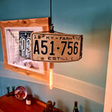 License To Light Up Ceiling Lampshade