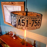 License To Light Up Ceiling Lampshade